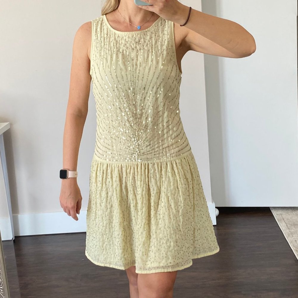 Zara TRF Sequin & Bead Dress
